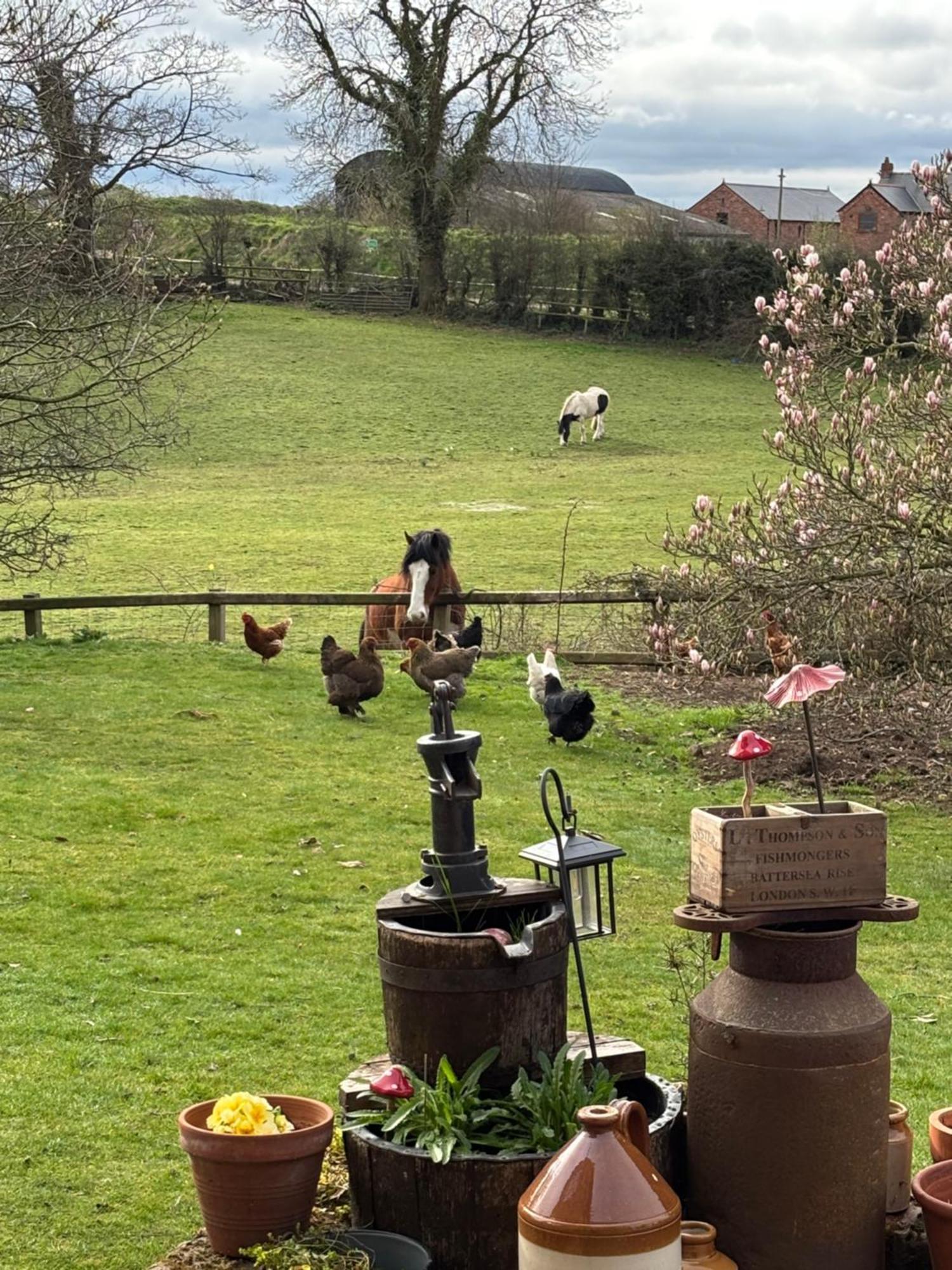 Bumbleberry Cottage Gresford 外观 照片